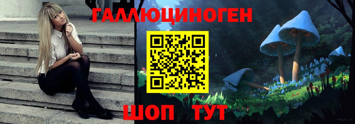 Галлюциногенные грибы Psilocybine cubensis Менделеевск