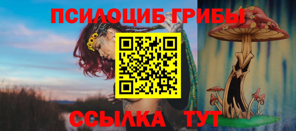 Менделеевск  Псилоцибиновые грибы мицелий  Псилоцибиновые грибы GOLDEN TEACHER  Вход с VPN 